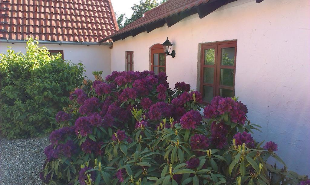 Vranum Guesthouse فيبورغ المظهر الخارجي الصورة